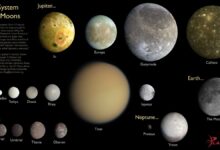 system justification